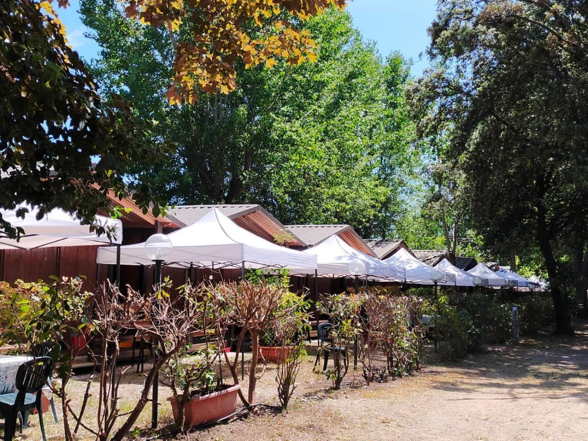 Cabana Camp Hotel Massa  Cameră foto
